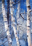 Trees by the Fence