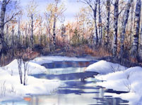 Winter Stream20