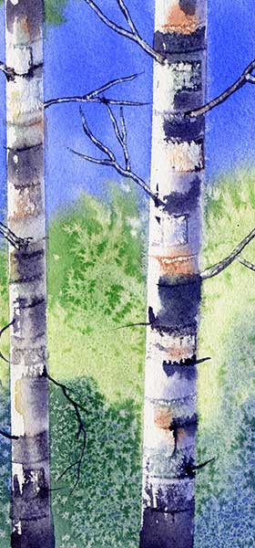Birch Trees in Watercolour